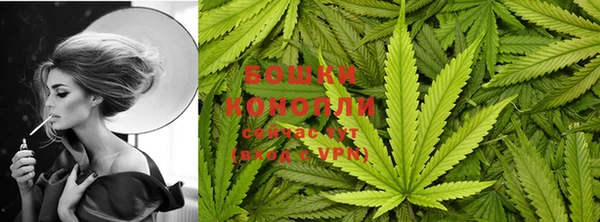 стафф Белокуриха