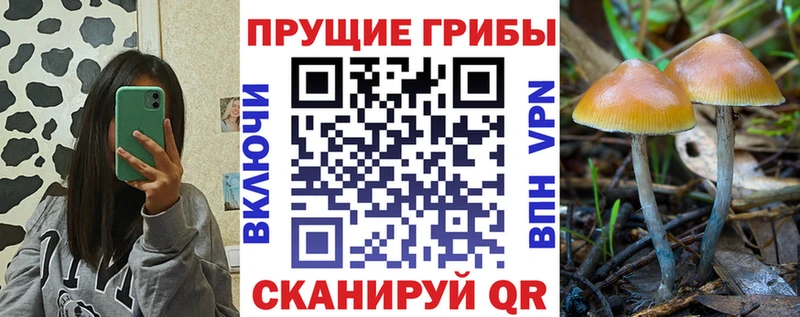 сколько стоит Гаврилов-Ям Галлюциногенные грибы MAGIC MUSHROOMS